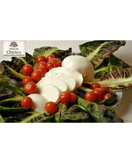 Mozzarella di latte di bufala 100% 500 g Caseificio Chirico