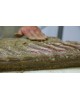 Pancetta tesa piccante al peperoncino e pepe nero - metà 3,5Kg sottovuoto - stagionatura  4 mesi - Salumi Tomeo